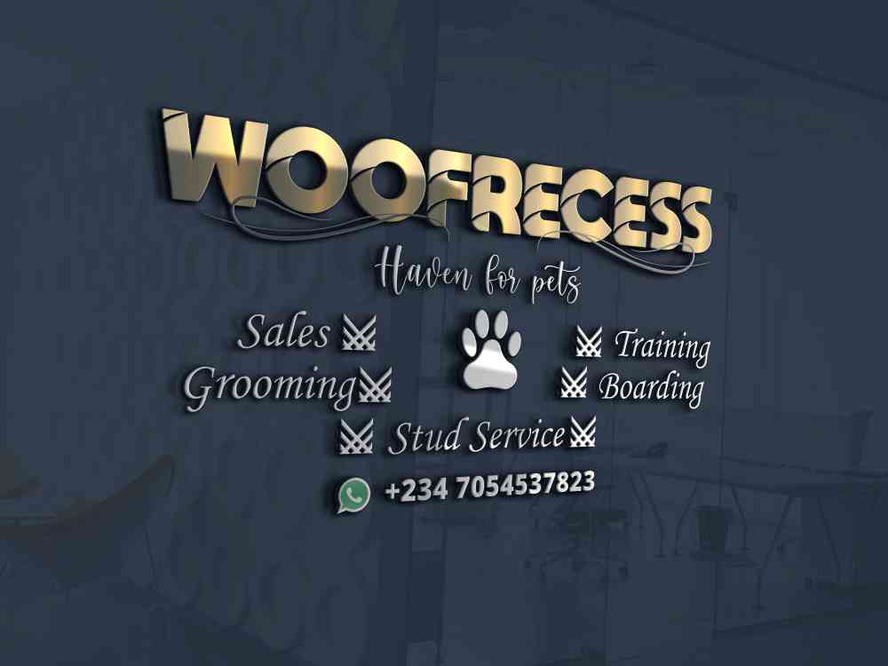Woof recess img